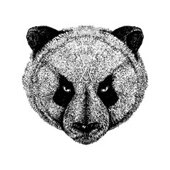 Wall Mural - Angry Panda Illustration Design