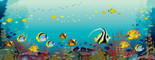 Underwater Coral Reef And Fish