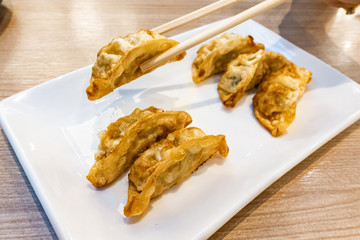 Canvas Print - Japanese street food, kyoza. Fried dumplings