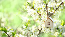 Toy House And Cherry Flowers. Spring Natural Background. Concept Of Mortgage, Construction, Rental, Family And Property. Copy Space