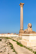 Pompey's Pillar And Sphinxes Made From Red Granite Stands Beside The Ruins Of The Temple Of Serapis