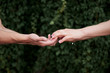 © Natalia - Arms of young couple in love, embracing. Close-up picture of romantic couple hands holding together in front of green leaves wall in summer. Romantic relationship. Valentines day