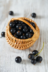 Poster - black currant on wooden surface