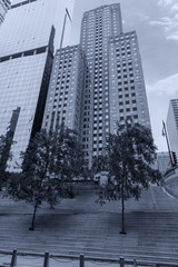 Wall Mural - Trees planted on the banks along the river Chicago