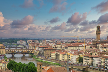 Wall Mural - A view of Florence, Italy from a nearby hillside
