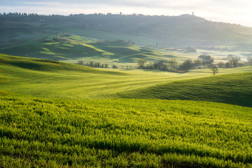 amazing spring landscape with green rolling hills and farm houses in the heart of tuscany in morning