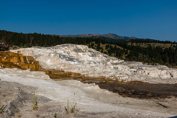 Wall Mural - mammoth hot springs yellowstone national park 