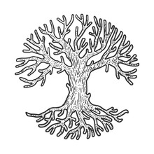 Round Circle Crown Tree Sketch Engraving Vector Illustration. T-shirt Apparel Print Design. Scratch Board Imitation. Black And White Hand Drawn Image.