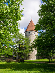 Wall Mural - One tower in Old town of Tallinn. Tallinn, Estonia, Europe