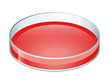 isolate illustration of a petri dish