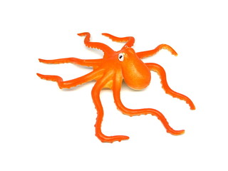 Wall Mural - Orange color octopus toy isolated on white background. Artificial octopus. Kids toy. Rubber toy.