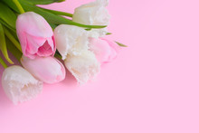 Pink Tulips On The Pink Background. Flat Lay, Top View. Valentines Background.