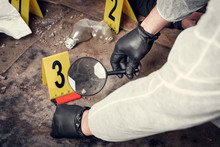 An Expert Is Gathering Evidence At A Crime Scene. The Law And The Concept Of Police Forensics.