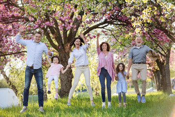 Wall Mural - Three generation family on a walk outside in spring nature, jumping.