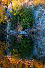 Wall Mural - Shoreline reflections along the Michigamme River, Upper Peninsula, Michigan.