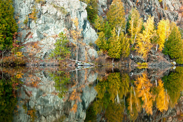 Wall Mural - Shoreline reflections along the Michigamme River, Upper Peninsula, Michigan.