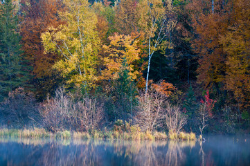 Wall Mural - Autumn colors illuminated by the light of a setting sun are reflected in the calm surface of the Michigamme River near Crystal Falls in Michigan's Upper Peninsula.