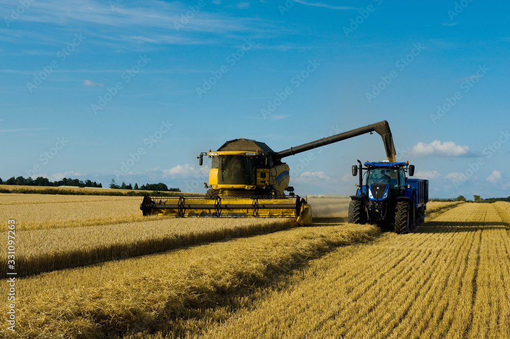 Combine harvester and tractor harvesting a crop in a field in summer ...