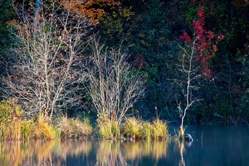 Wall Mural - Autumn colors illuminated by the light of a setting sun are reflected in the calm surface of the Michigamme River near Crystal Falls in Michigan's Upper Peninsula.