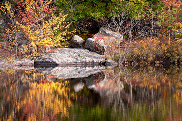 Wall Mural - Autumn colors illuminated by the light of a setting sun are reflected in the calm surface of the Michigamme River near Crystal Falls in Michigan's Upper Peninsula.