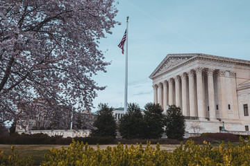 The US Supreme Court in the springtime in Washington, D.C. 