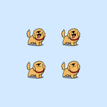 Cute Golden Retriever Dog Cartoon Set, Vector Illustration
