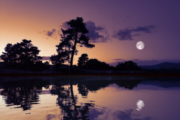 Wall Mural - moon with lake reflections dark scenery