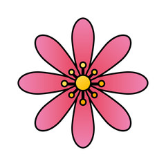 Poster - cute flower pink color isolated icon vector illustration design