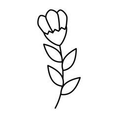 Poster - cute flower with branch and leafs line style icon vector illustration design