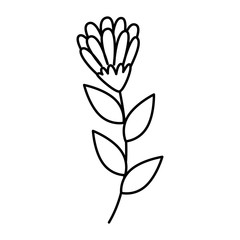 Poster - cute flower with branch and leafs line style icon vector illustration design