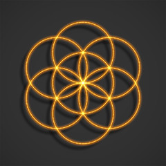 Wall Mural - Sacred geometry, seed of life. Vector illustration.
