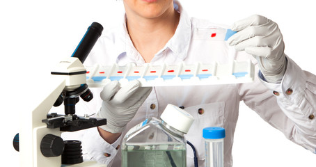 Wall Mural - scientist holds and examine samples in a laboratory