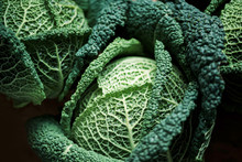 Raw Green Cabbage Texture. Organic Savoy Cabbage Background. Vegan And Vegetarian Diet Concept