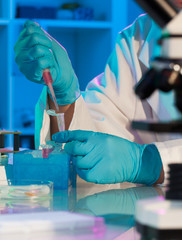 Wall Mural - scientist holds and examine samples in a laboratory
