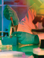 Wall Mural - scientist holds and examine samples in a laboratory