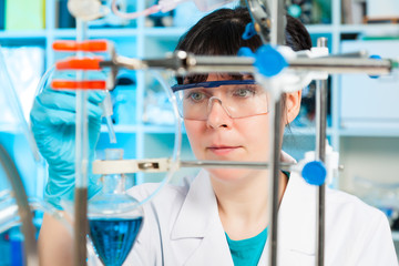 Wall Mural - scientist holds and examine samples in a laboratory