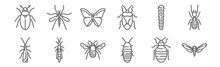 Set Of 12 Insects Icons. Outline Thin Line Icons Such As Bug, Madagascar Hissing Cockroach, Bug, Caterpillar, Butterfly, Mosquito