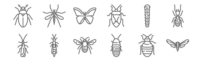 set of 12 insects icons. outline thin line icons such as bug, madagascar hissing cockroach, bug, caterpillar, butterfly, mosquito