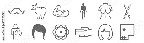 Set Of 12 Body Parts Icons Outline Thin Line Icons Such As Polygon Shape Hand Female Short Hair Style Variant Upper Torso Of A Woman Muscular Arm Tooth Stock Vector Adobe Stock Drawing isn't a thing for everyone. adobe stock