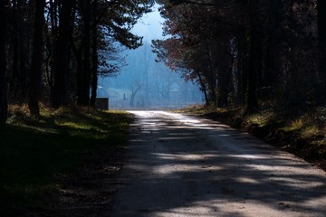 Wall Mural - road