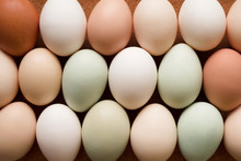Rows Of Pastel Colored Eggs Close-up, Top View
