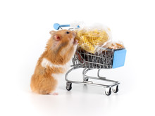 Thirsty Hamster And A Shopping Basket With Food. The Concept Of Panic Procurement And Stocks.