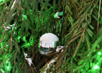 Poster - Glittering Christmas ball on green Christmas tree