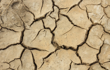 Cracked soil