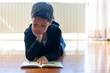 © amfer75 - Shot of an adorable boy reading a book lying on the wooden floor of the house