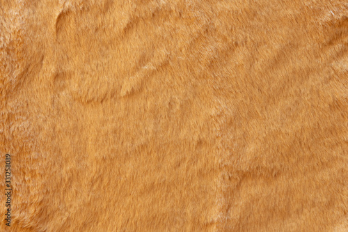 Brown real wool with a dark top texture background, orange natural wool, fluffy Poster Mural XXL