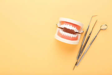 Wall Mural - Teeth model with dental instruments on beige background