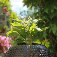 Poster - Brins de muguet avec feuilles	