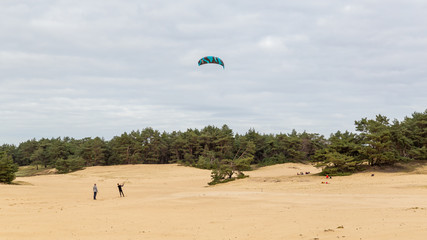 Two man flying a kite at Nature reserve Wekeromse zand, Veluwe region, Gelderland in the Netherlands.