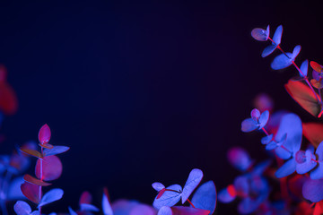 light neon background with leaves. glowing botanical backdrop with shiny gradients on plants. exotic